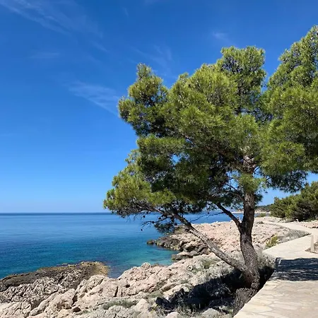 Apartment Patricia *