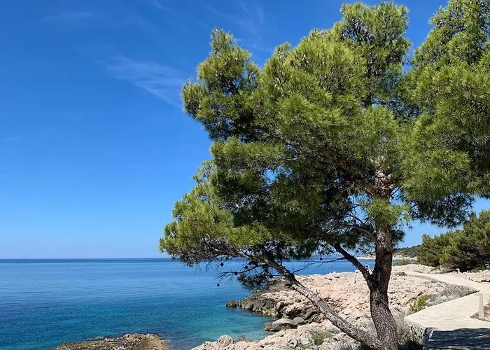 Apartment Patricia *