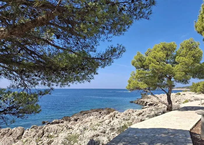 Patricia פרימוסטן